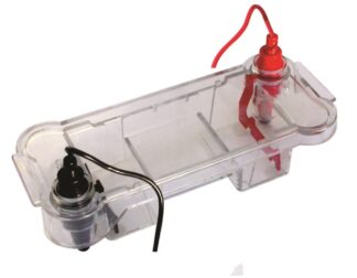 Gel Electrophoresis Horizontal