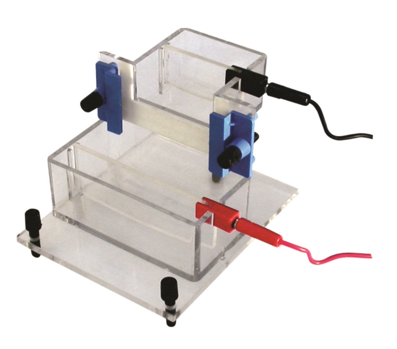 Gel Electrophoresis Vertical
