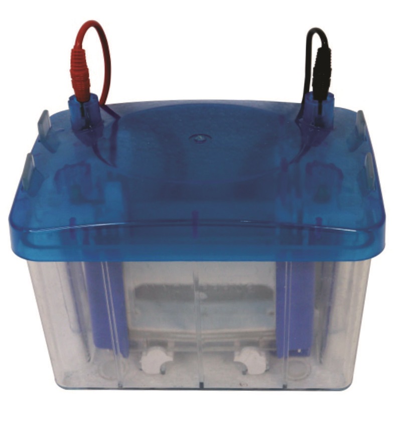 Gel Electrophoresis Tetra Cell Vertical Gel